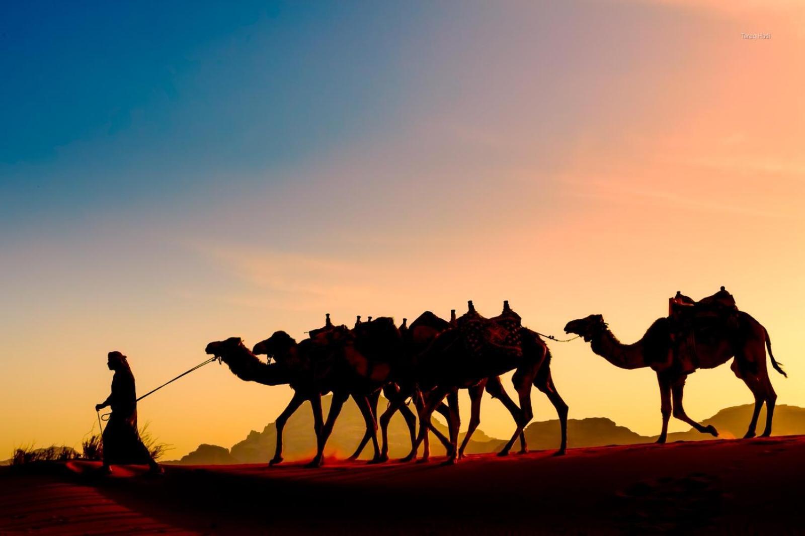 Scarlet Luxury Camp Wadi Rum Buitenkant foto