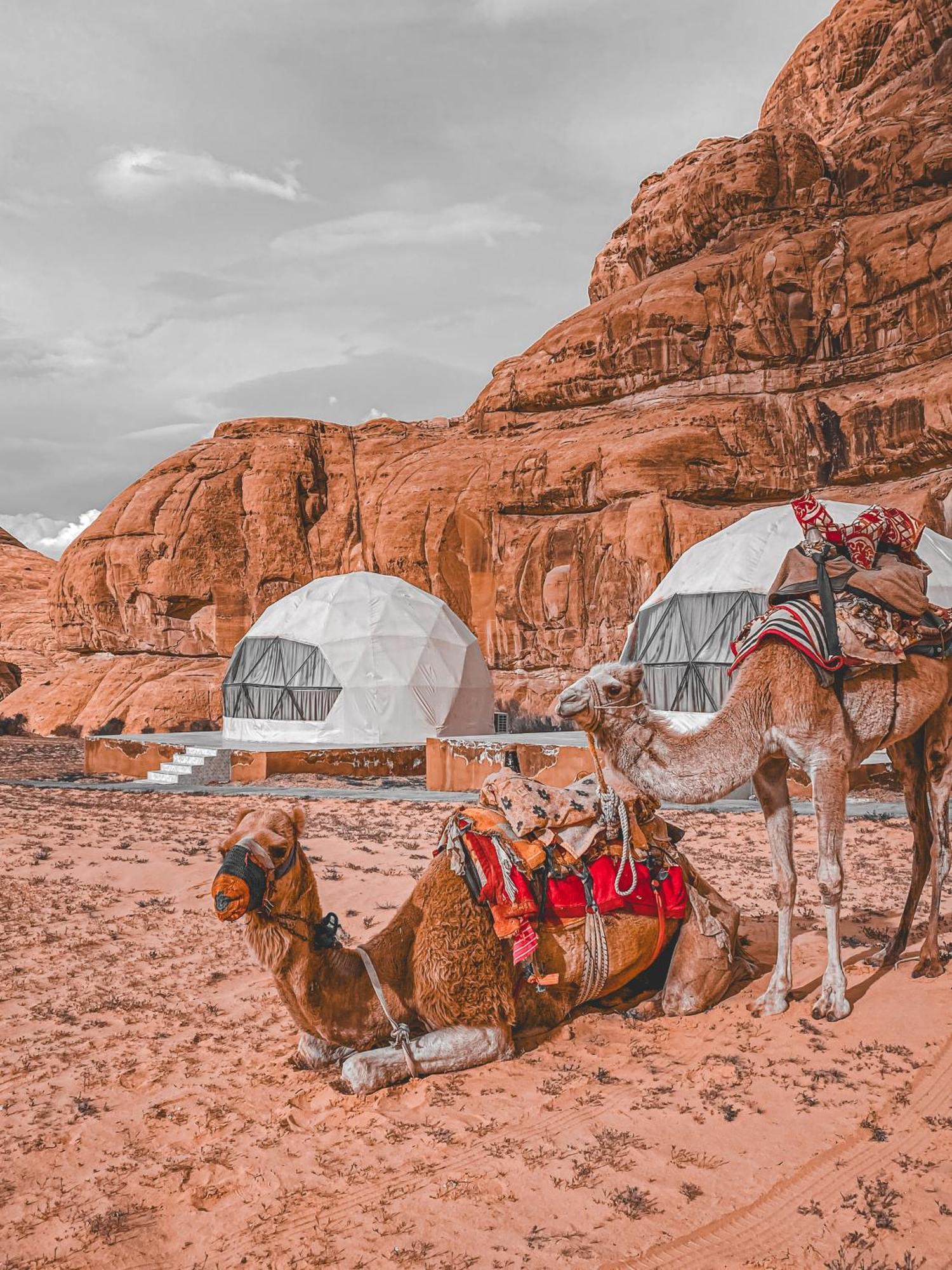 Scarlet Luxury Camp Wadi Rum Buitenkant foto